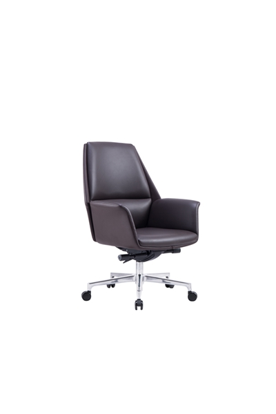 ƤCH-255B (2)